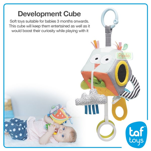TAF TOYS Developmental Cube / Mainan Stroller