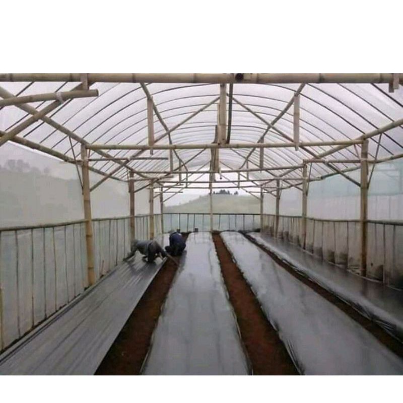 plastik uv lebar 3 meter x panjang 6 meter 200 micron