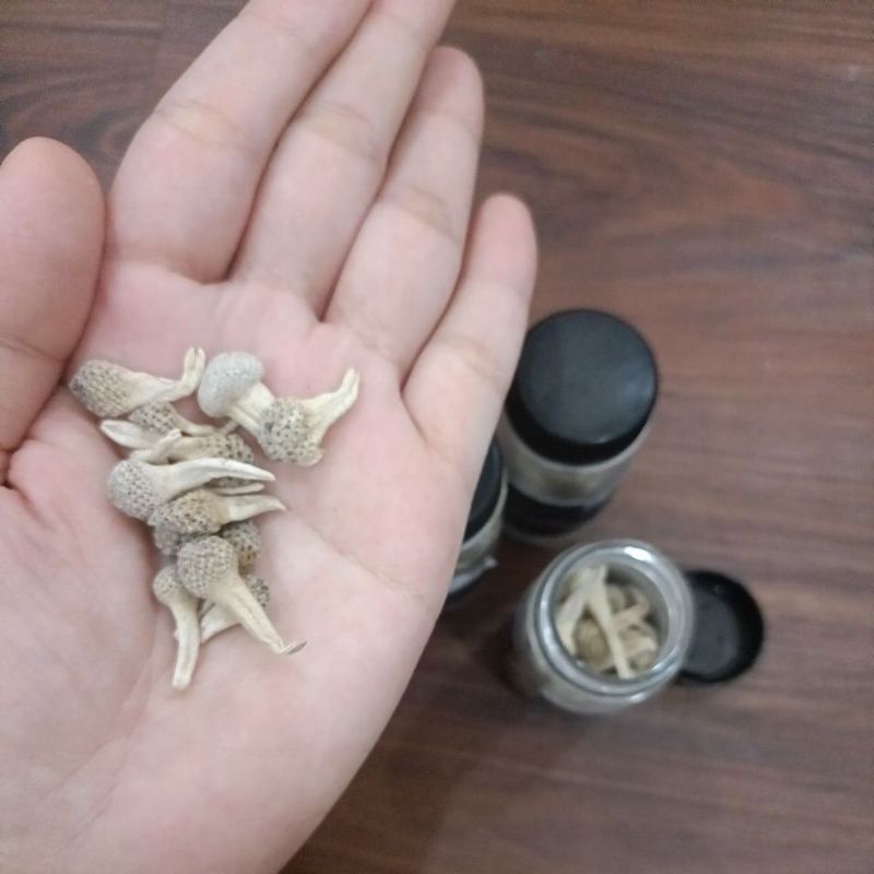 

jamu empot putih