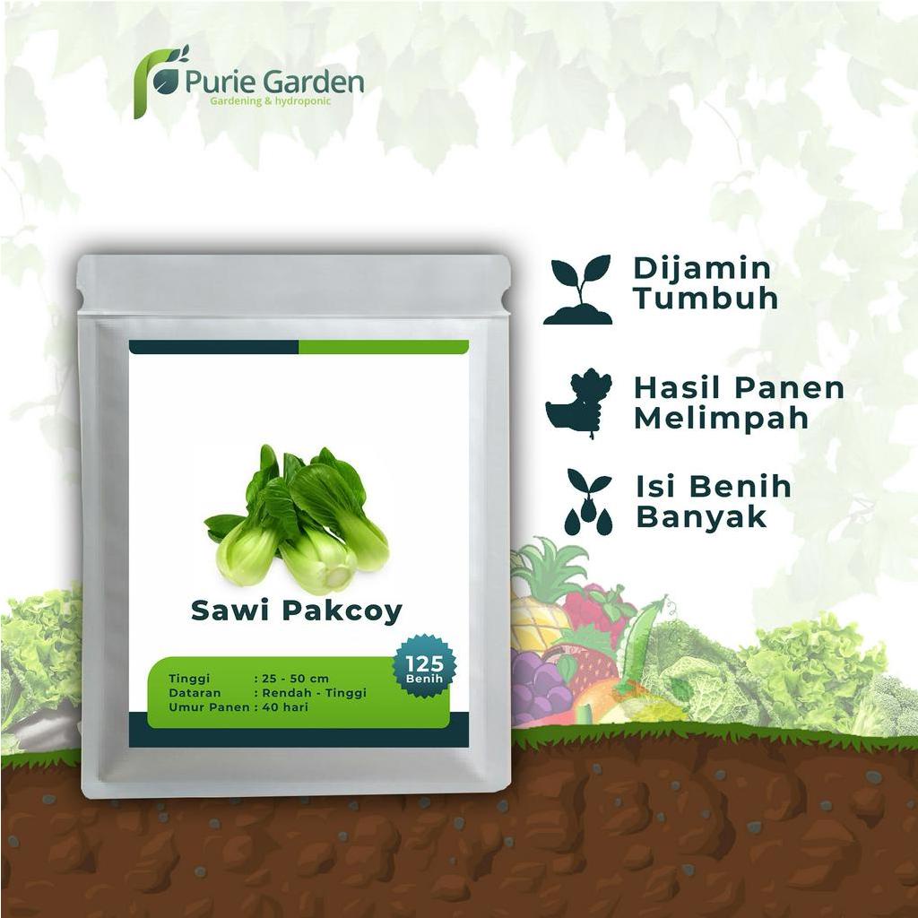 Benih Bibit Biji Unggul Sawi Pakcoy 125 Benih PG KDR