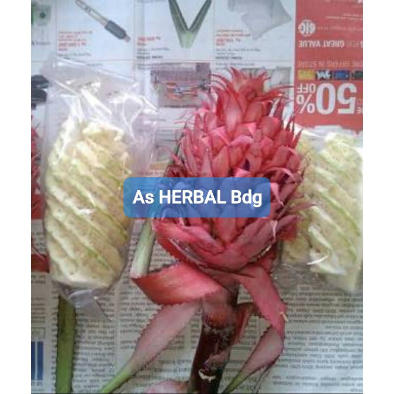 

Paket 1 kg gram Buah Nanas Merah Muda Asli Sudah Kupas asli