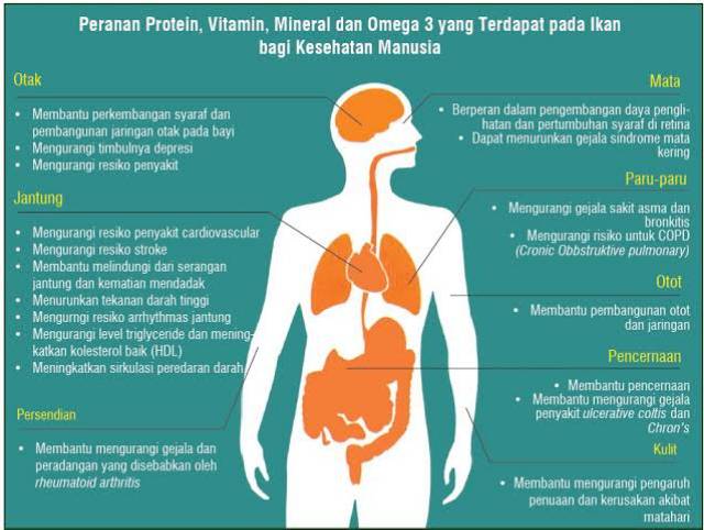 Omeheart omega 3 isi 60 caps /fish oil/ omega 3 from usa/ omega 3 paten / produk paten