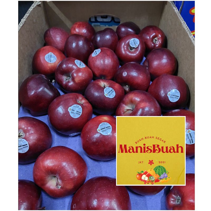 

Apel merah washinton per dus Termurah Manisbuah.id