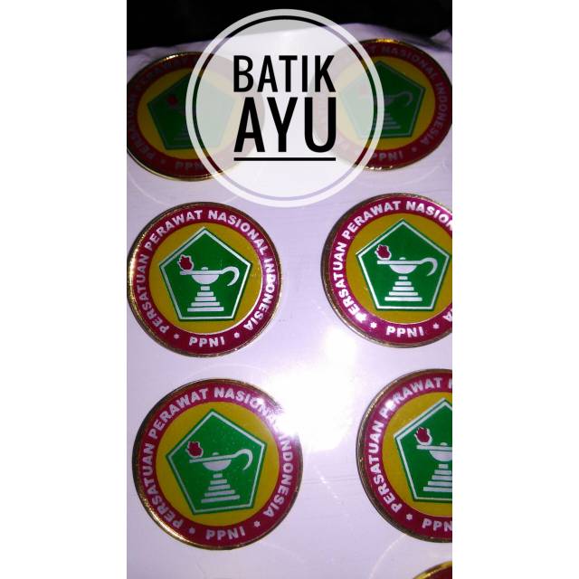 Pin PPNI