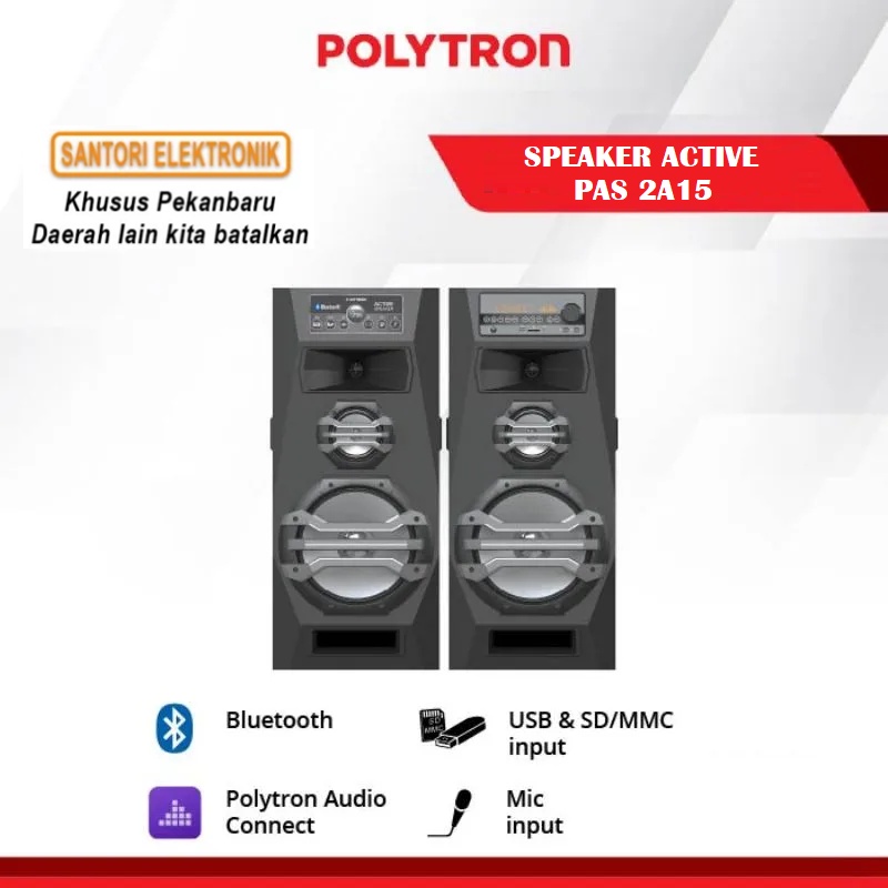 SPEAKER ACTIVE POLYTRON PAS 2A15 PEKANBARU