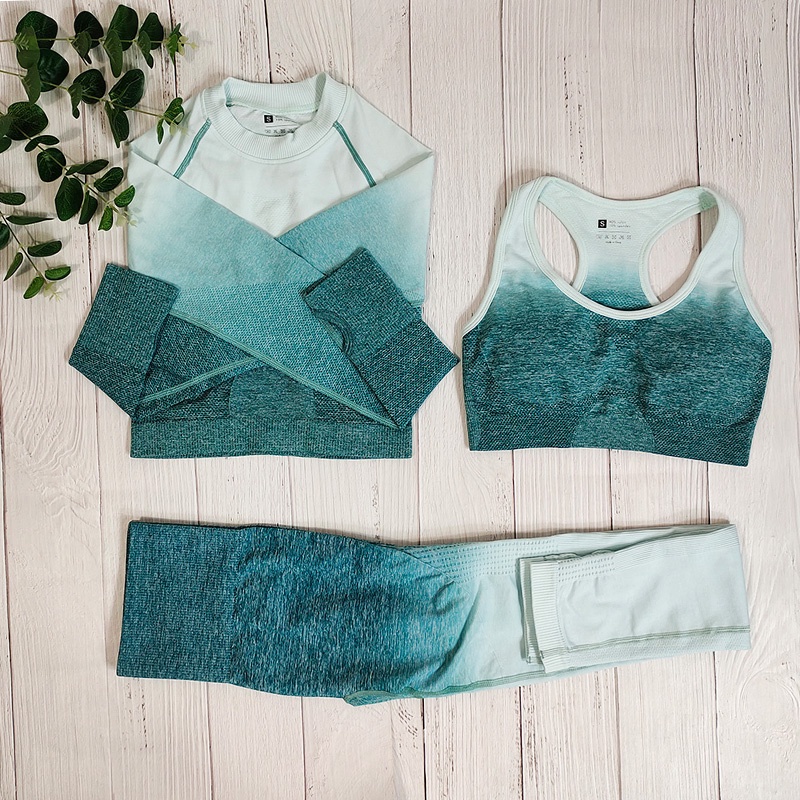 Ombre Sportswear Women Yoga Outfit Set Fitness Suit Gym Clothing Sports Set Seamless Athletic Wear W