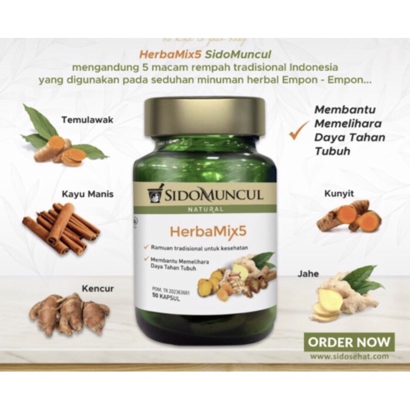 Sidomuncul herbamix5 isi 50 ( herbal empon2 menjaga kesehatan tubuh )