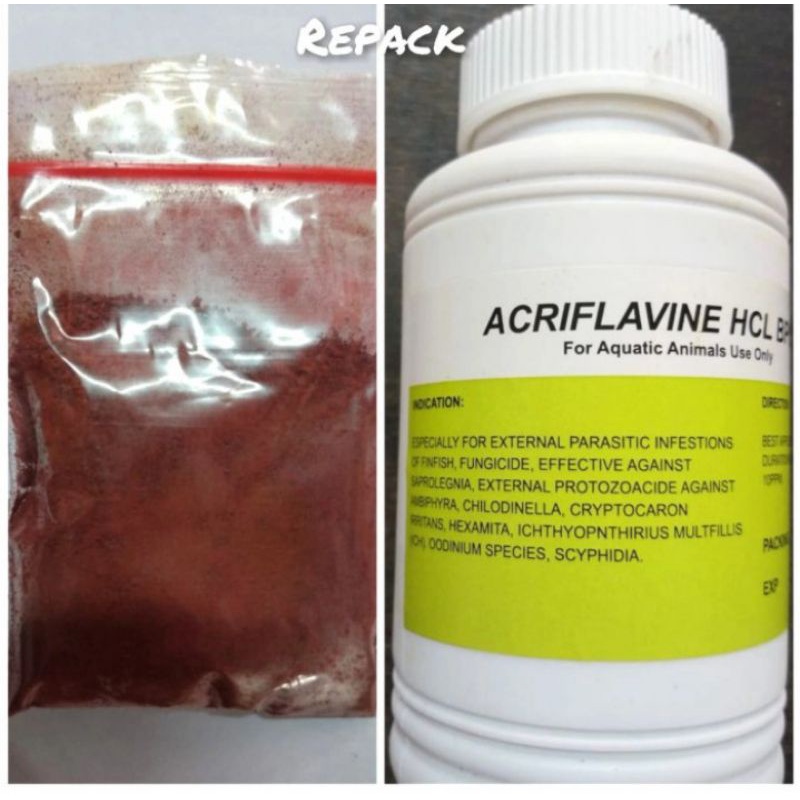 

acrivlapine Hcl Bpc bubuk repack 10gr
