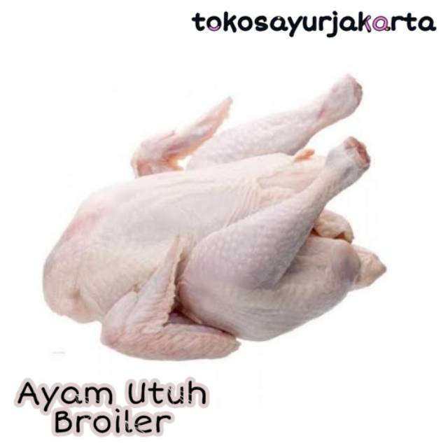 

Ayam Negri Utuh - 1 Ekor