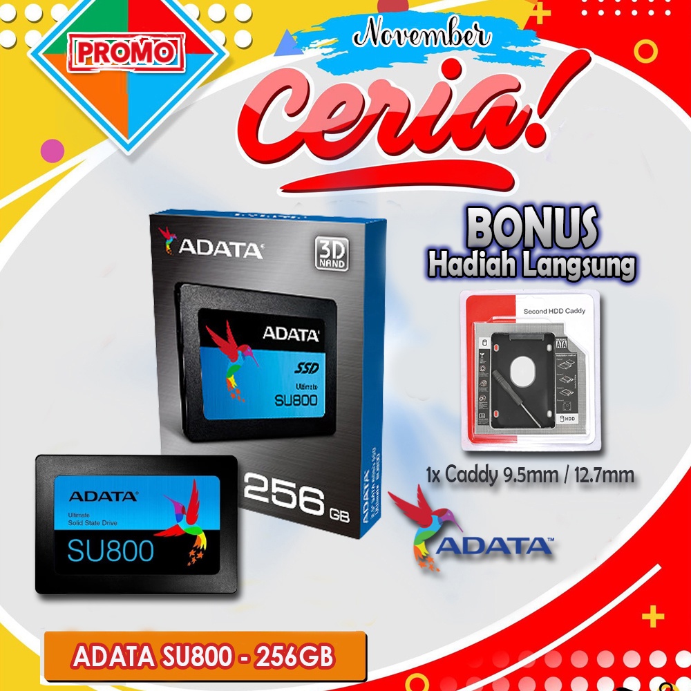 Paket SSD &amp; CADDY SU800 256GB 2.5&quot; SATA III R560/520Mbs ADATA