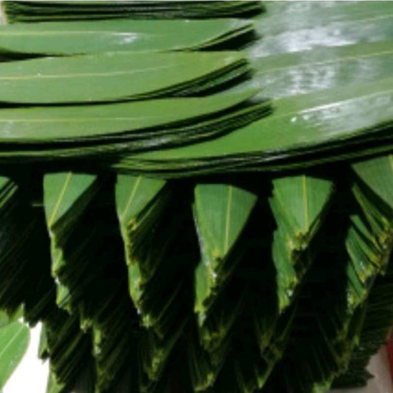 

daun bambu 50 lembar
