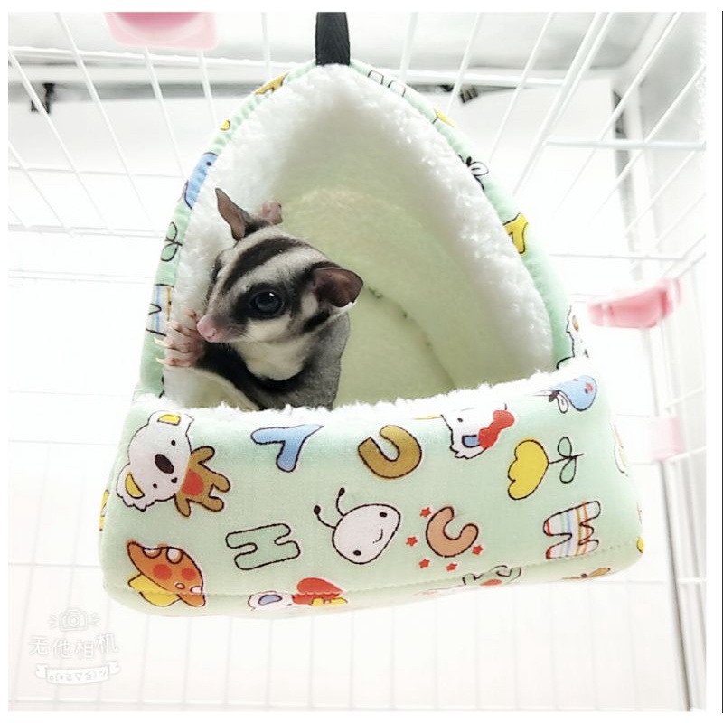 Sleeping Pouch Import Sugar Gliderchin Hamster Tupai Landak Mini Marmut  Chinchilla