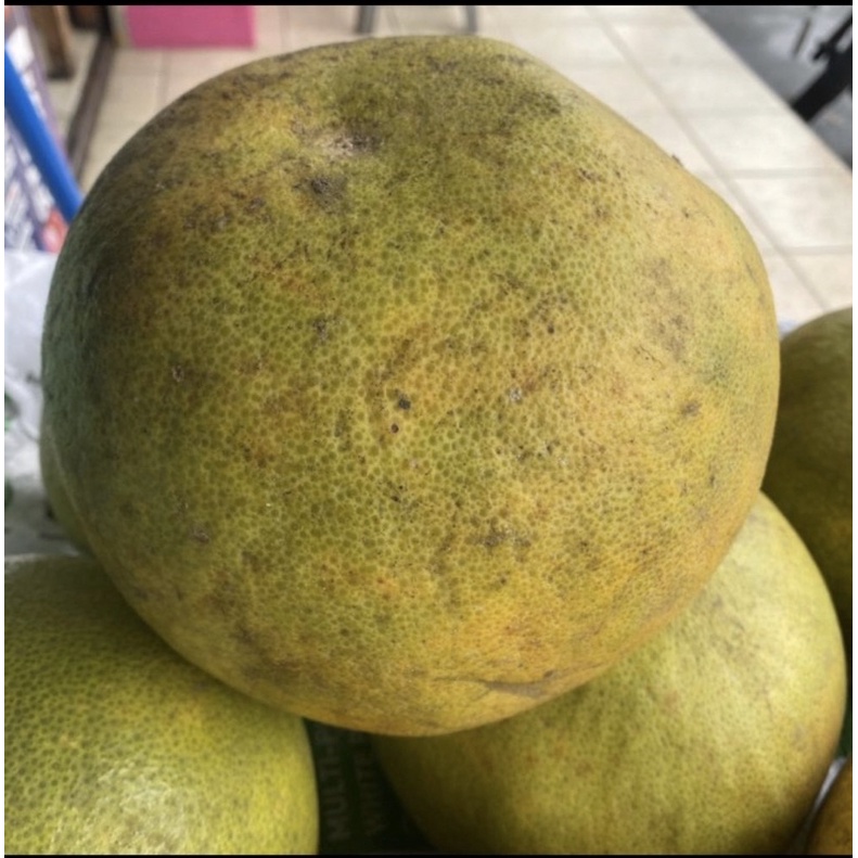 

jeruk pamelo manis segar per 1 buah