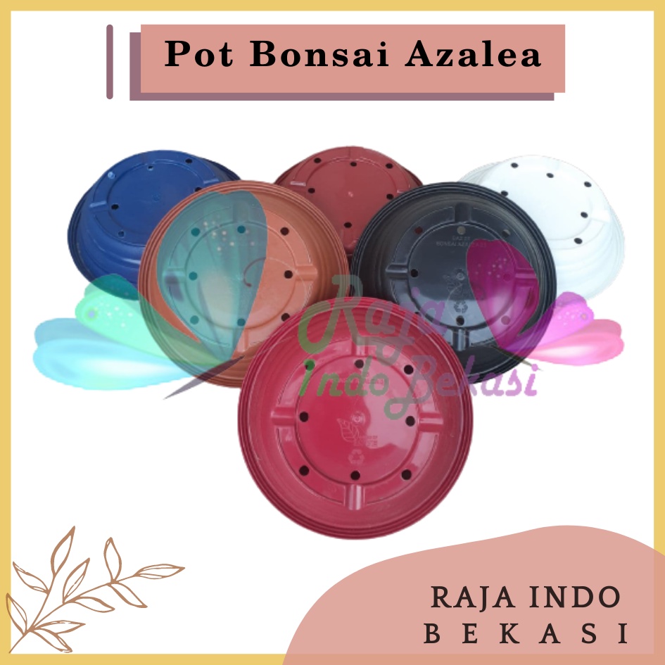 Pot Bonsai Azalea 25 Cm Putih Hitam Biru Merah Bata Pot Bonsai Tawon Ceper Plastik Utk Bonsai Kelapa