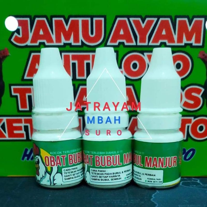 Obat Bubul Ayam Mbah Suro