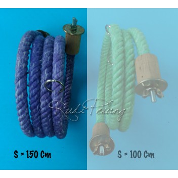 cockatiel and sun conure