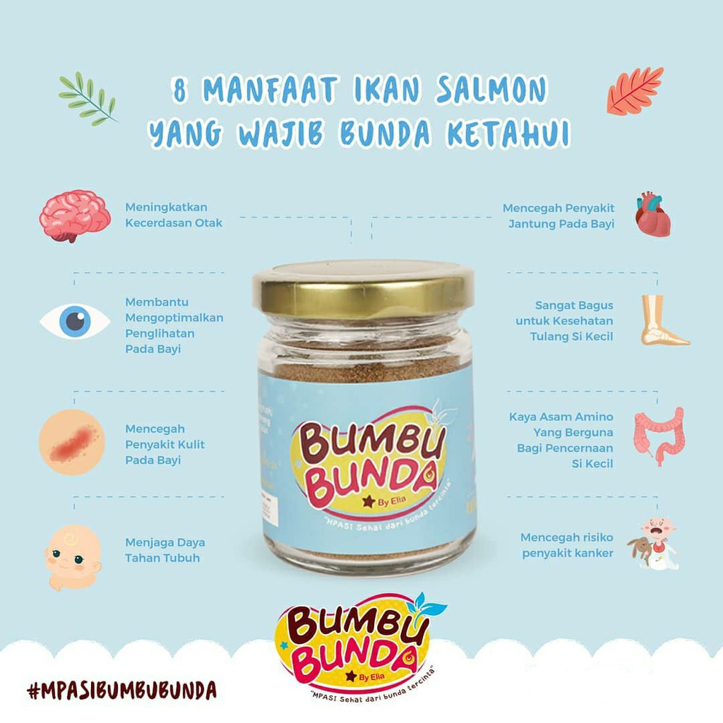 Kaldu MPASI Bayi Homemade /Kaldu Non MSG Kaldu Jamur Slow Cooker Food Powder BUMBU BUNDA by Elia