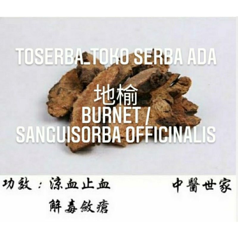 

100gr Herbal Di Yu 地榆 Radix Sanguisorbae Burnet Sanguisorba Officinalis