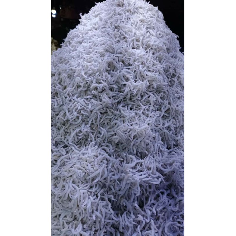 

(BISA COD) Ikan Teri Medan 500gram asli dari medan
