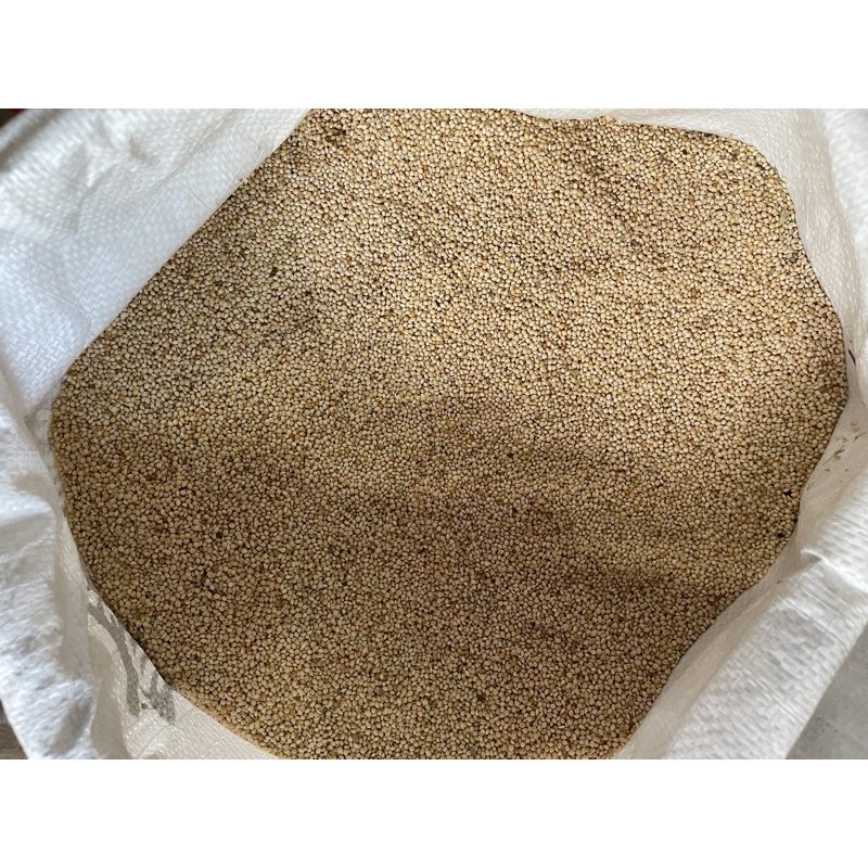 Milet Putih curah Kiloan