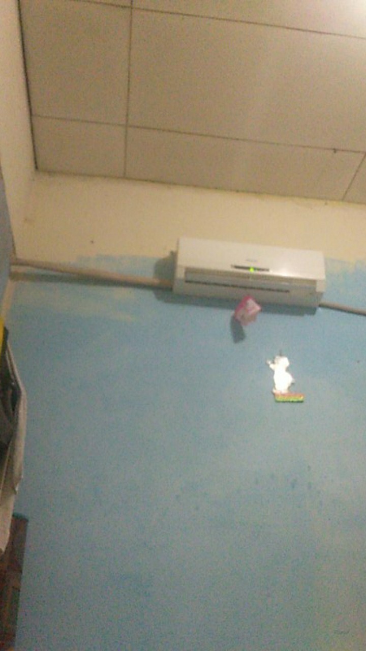 Sarung Kasur Resleting 120x200x15 Karakter