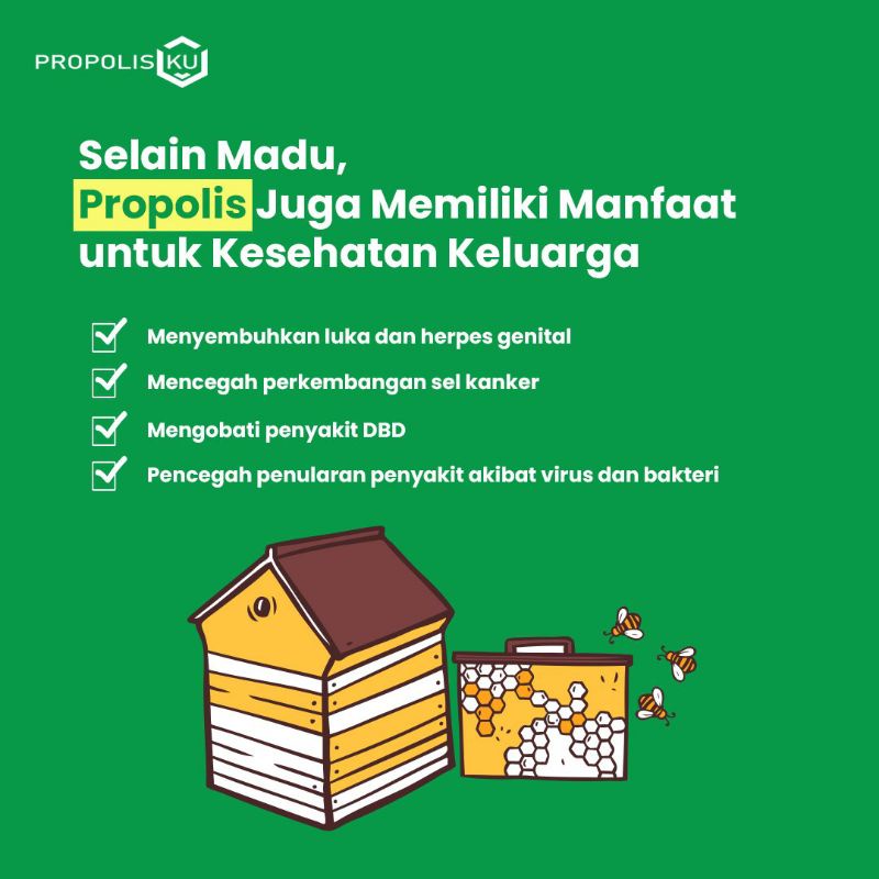 Propolis Menjaga Imunitas Tubuh Dan Obat Bermacam Penyakit