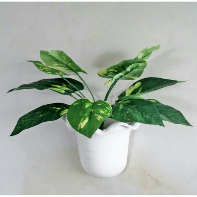 Daun artificial srigading sirih gading gantung dan pot