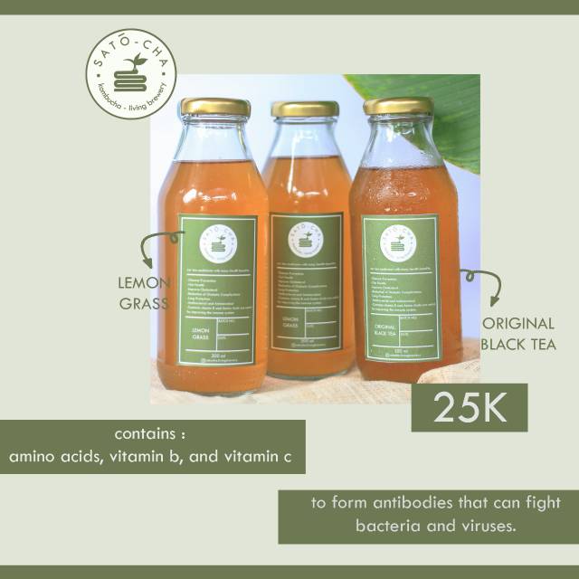 

Teh kombucha