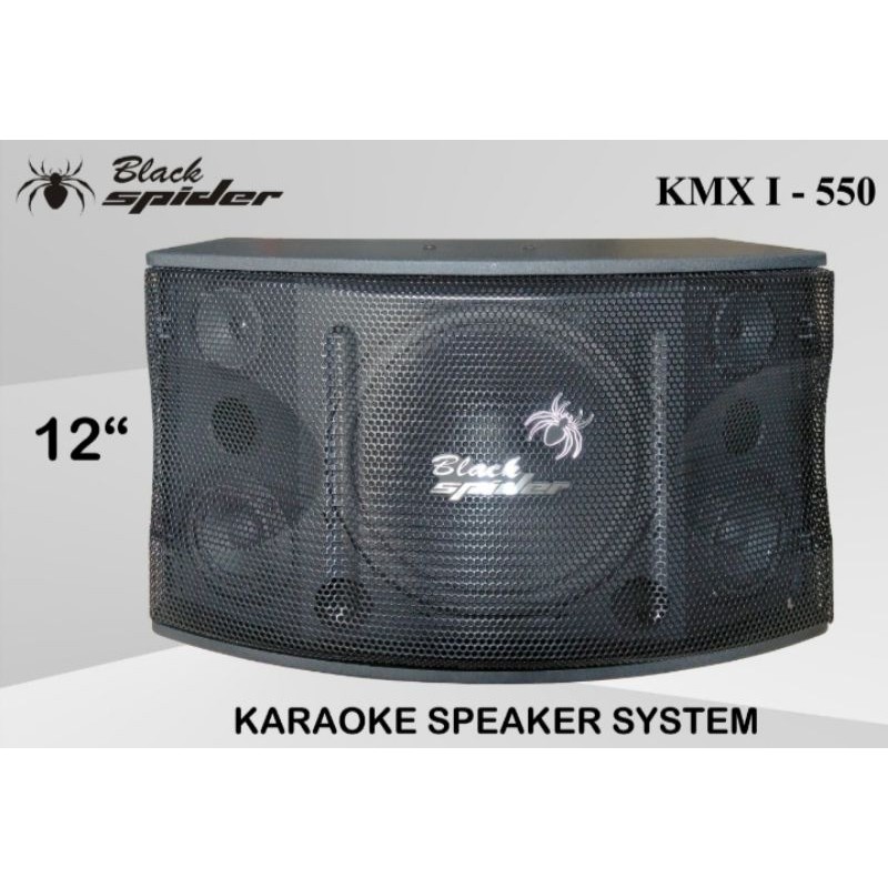 SPEAKER  PASIF BLACK SPIDER 10"& 12"