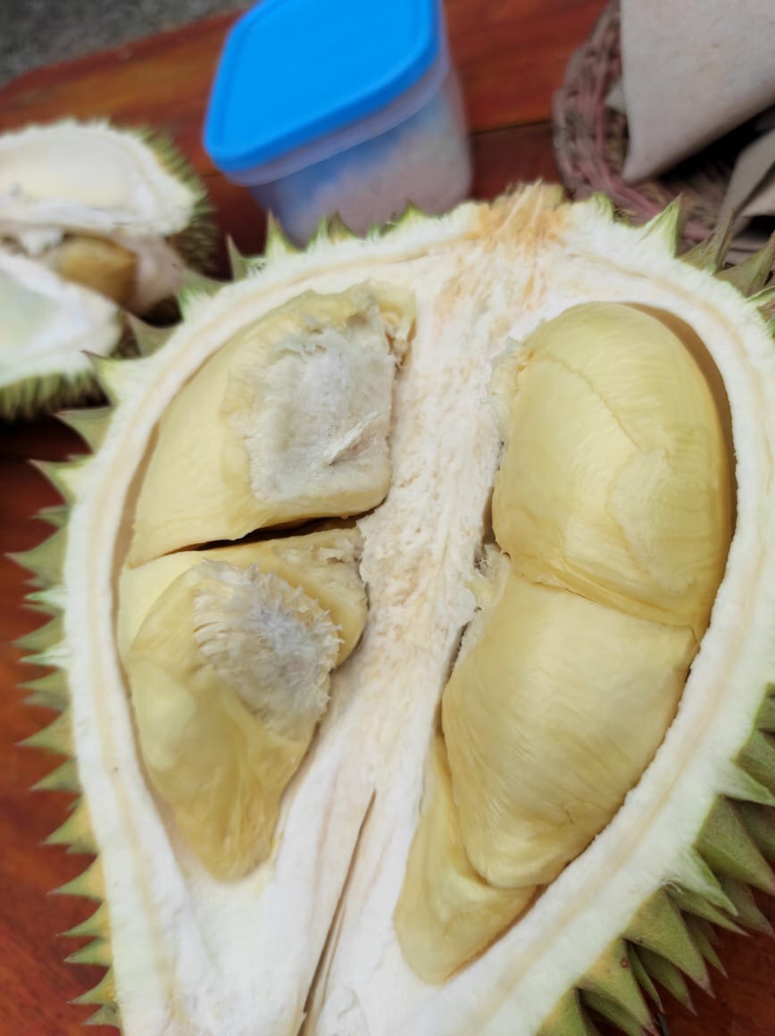 Aria - Bomber Jaket Batik Wanita