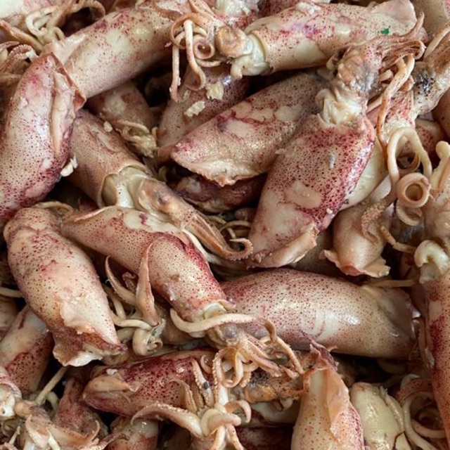 

cumi asin sotong super premium 100 gram