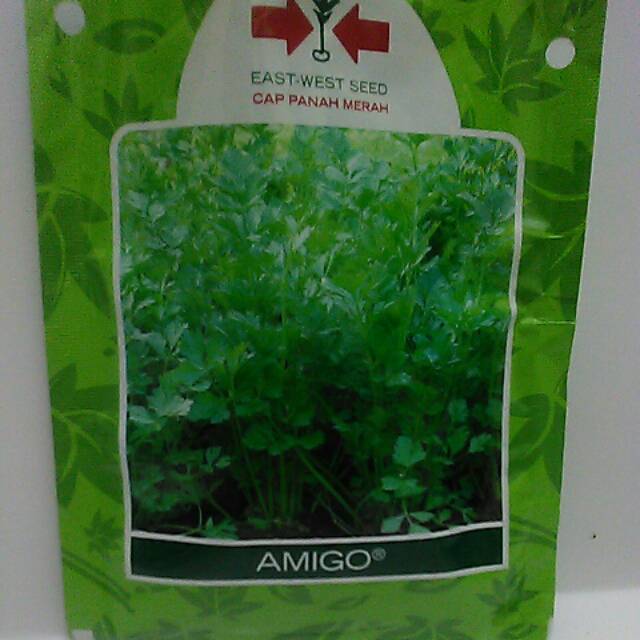 Benih Seledri Amigo