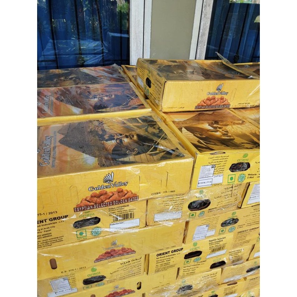 

KURMA MESIR GOLDEN VALLEY STOK TERBARU kiloan‼️