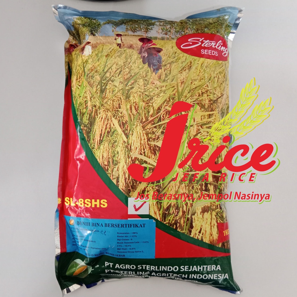 BENIH PADI HIBRIDA STERLING SL-8SHS BIBIT PADI UNGGUL