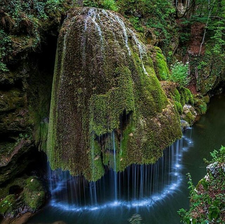 Vixal Pembersih Kamar Mandi