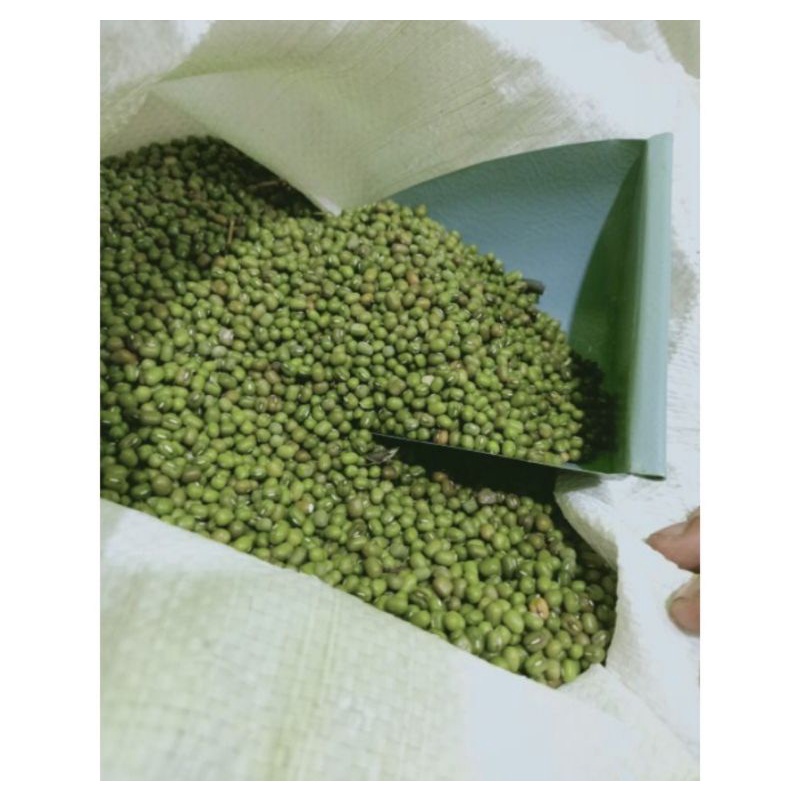 

KACANG HIJAU IJO IMPORT BIRMA SUPER 250gr