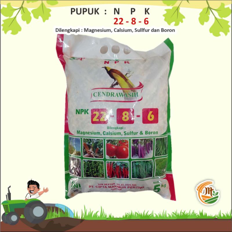 Pupuk NPK dilengkapi Magnesium, Calsium, Sulfur dan Boron