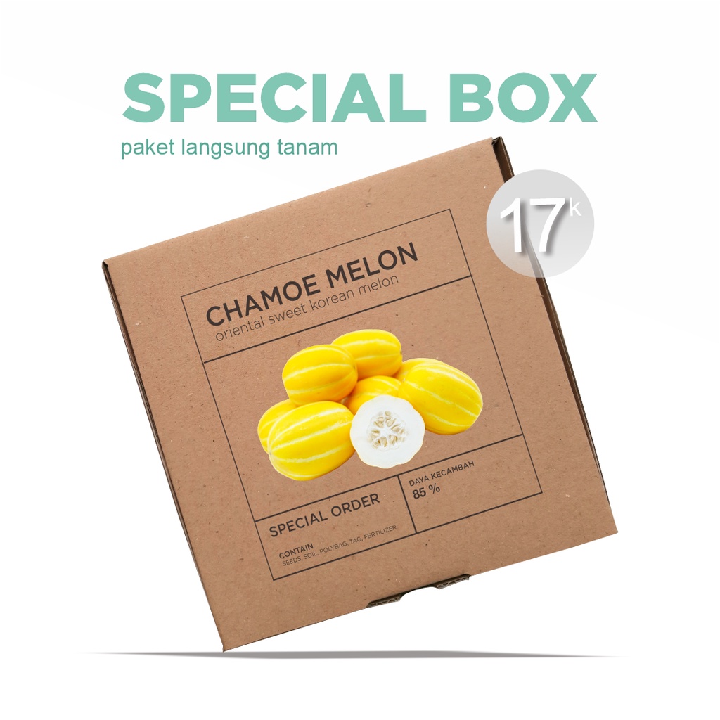 Paket Langsung Tanam - Gardening Kit - SPECIAL BOX - Benih Melon Korea Oriental Makuwa Sweet Chamoe Melon Seeds