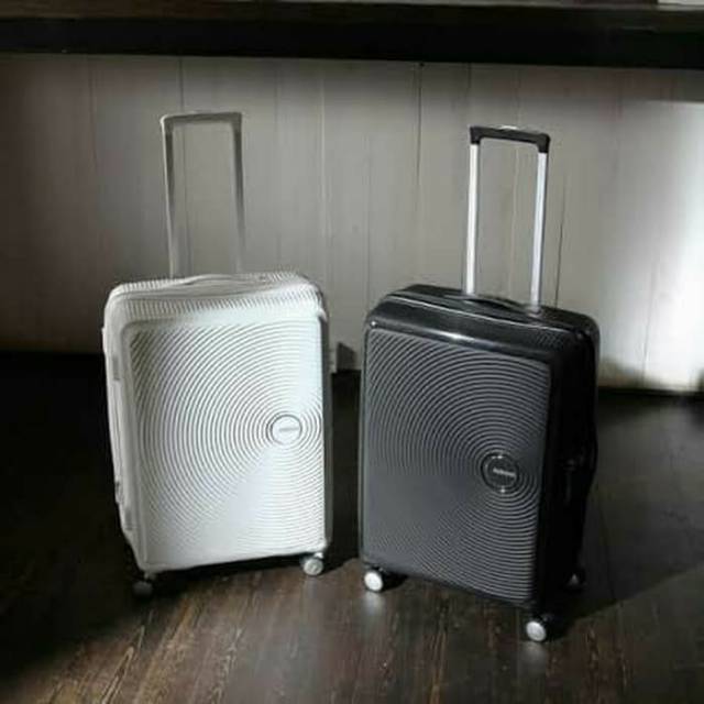 tourister curio