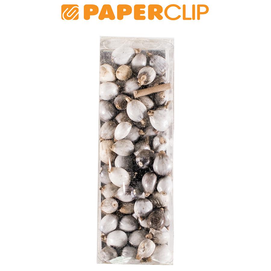 

BIJI NATURAL 5 BJ.JL