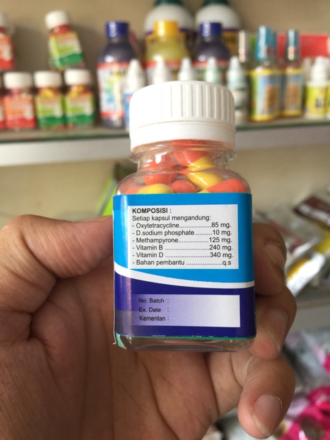 Obat untuk kaki sapi linu