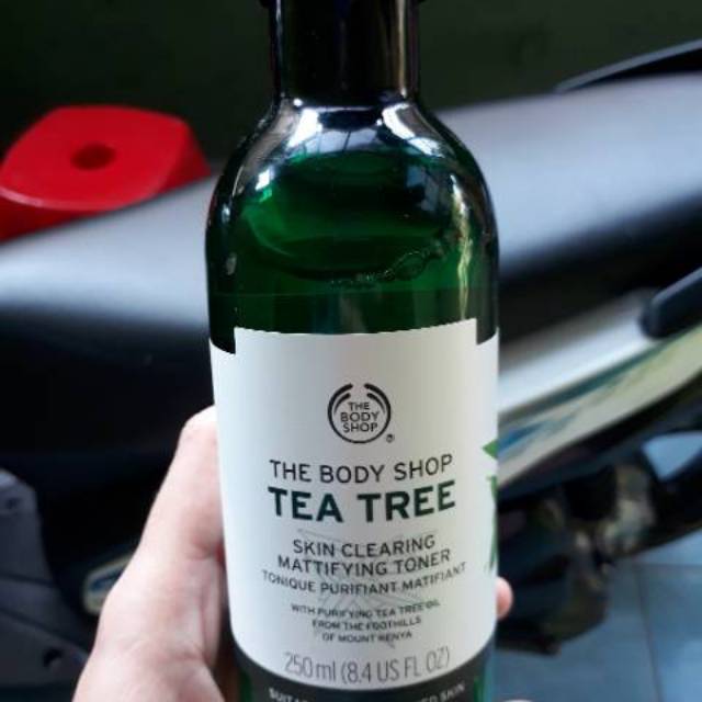 Tea Tree mattifying toner + Daily facial mouisturizer (cetaphil)