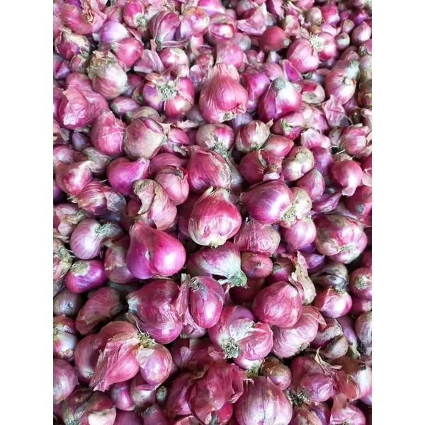 

bawang merah