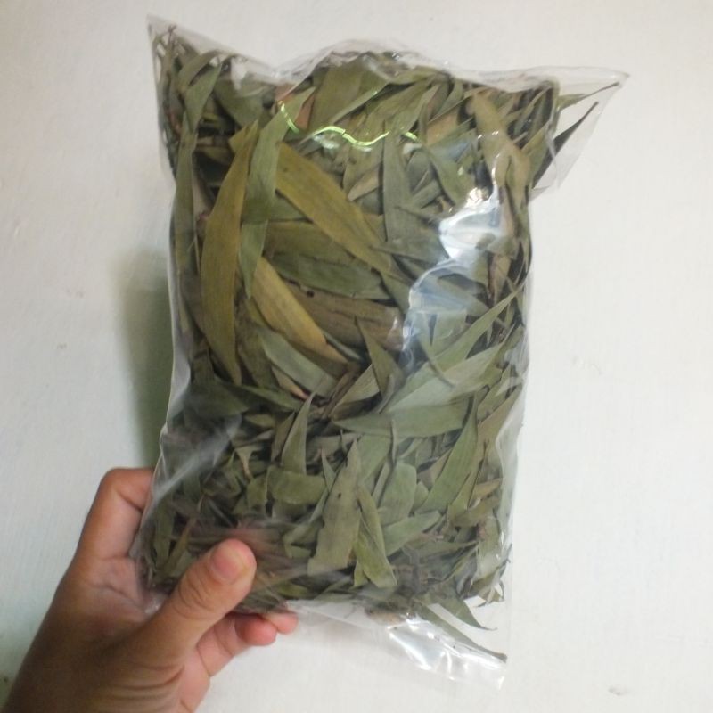 

DAUN KAYU PUTIH 100gram