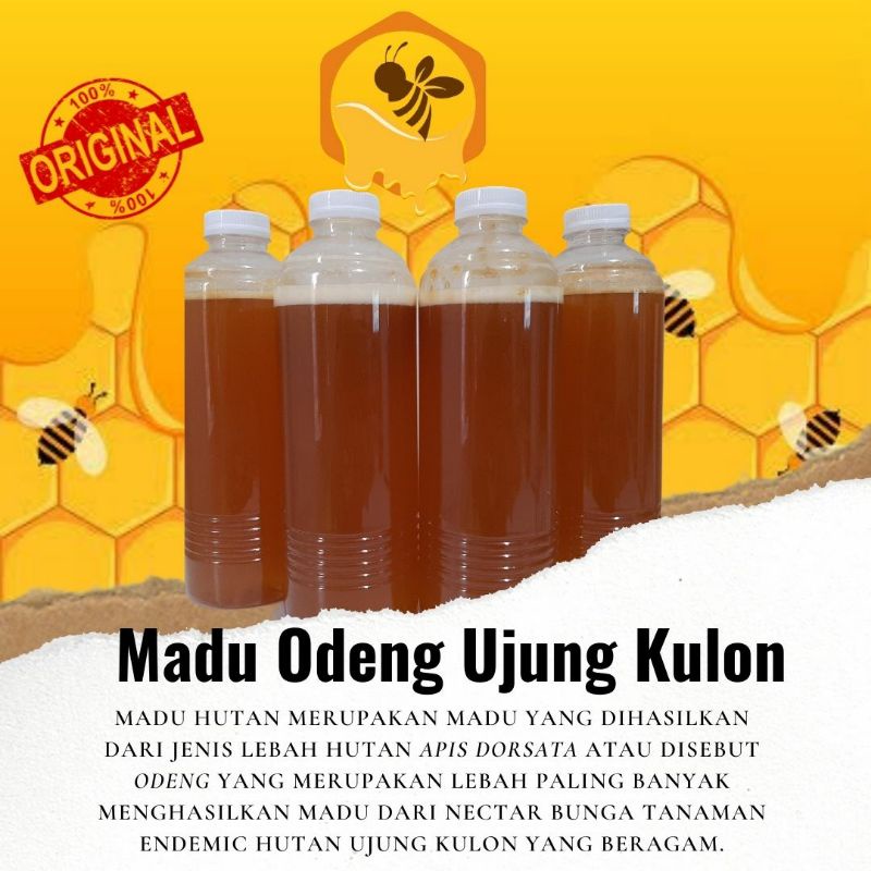 

Madu Odeng Ujung Kulon