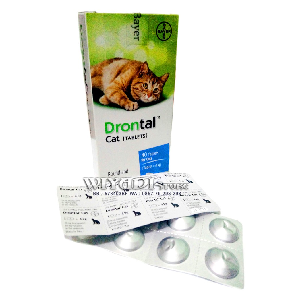 Obat Cacing kucing Drontal Per Tablet