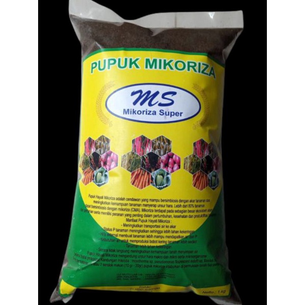 Mikoriza Pupuk Agar Umbi Bawang Merah Besar, Pupuk Memperbanyak Umbi Bawang Merah