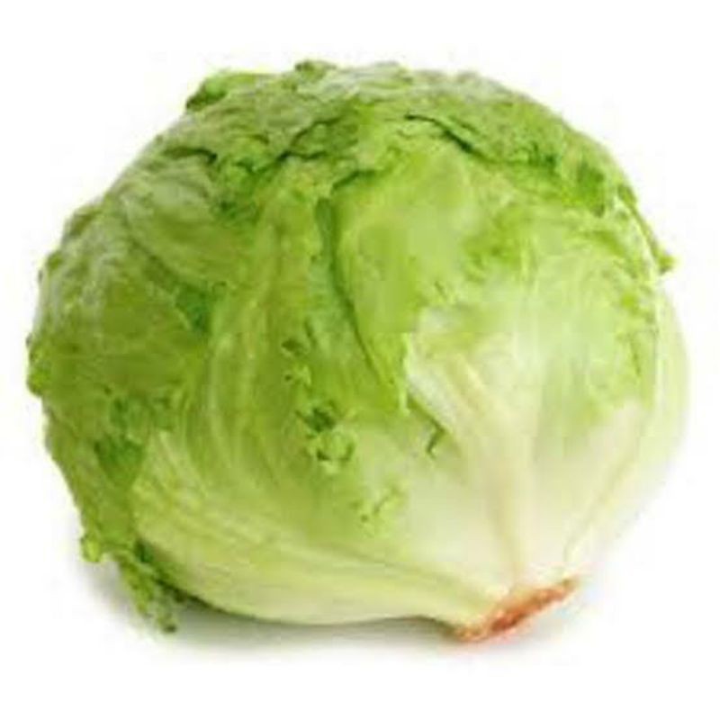 Lettuce Head / Letus / Letuce / Berat 1000 Gram