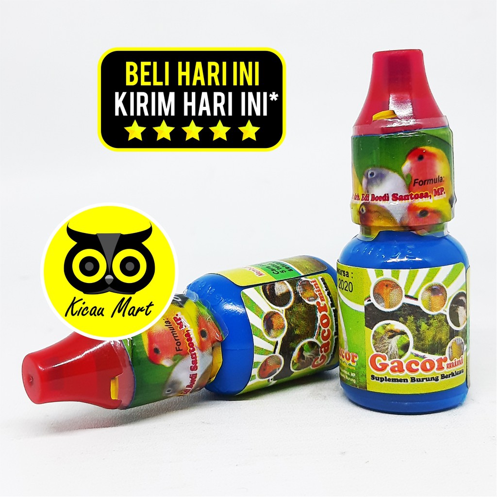 VITAMIN OBAT BURUNG MURAI KENARI KACER MACET BUNYI GACOR MINI DR. EDHI 10 ML PENAMBAH POWER VGAMIKS