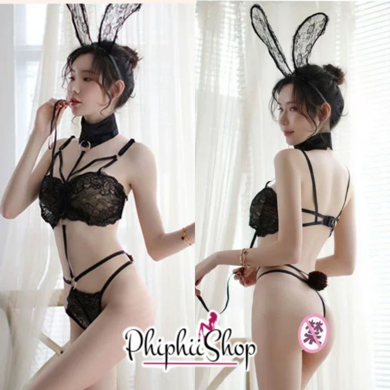 PREMIUM Bunny Girl Renda Kostum Set Aksesoris Bando Sexy Cosplay Kelinci